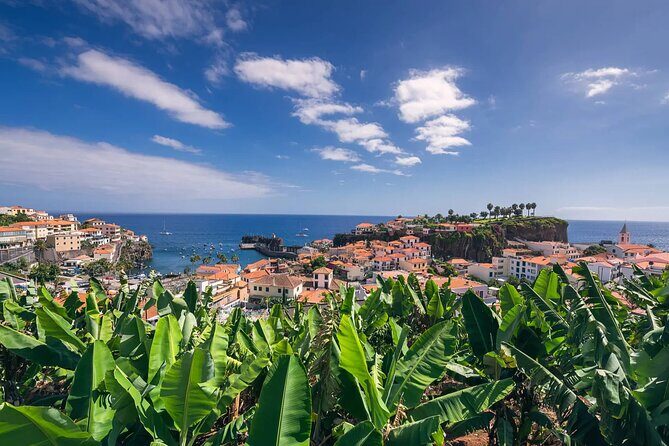 A great tuk-tuk adventure Tour at Cabo Girão - Skywalk - Who is this tour best suited for?