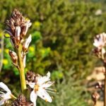 A hike to the Devil's Saddle - What to Expect from the Hike to the Devil’s Saddle