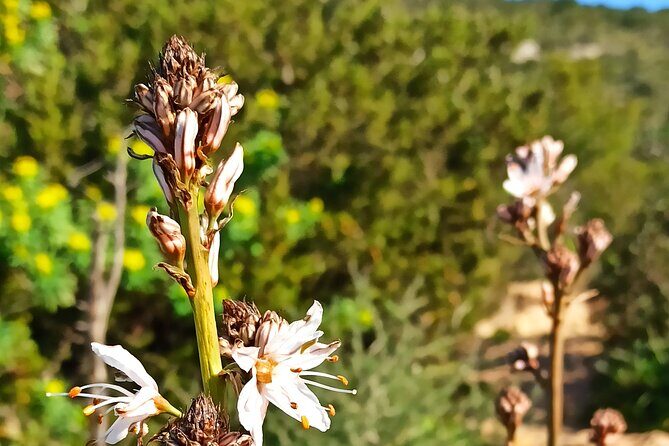 A hike to the Devil's Saddle - What to Expect from the Hike to the Devil’s Saddle