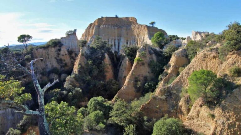 A sensory walk at Les Orgues, between nature and landscape - The Sensory Walk: What to Expect