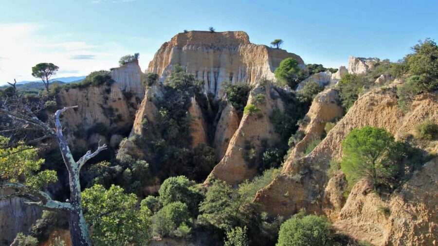 A sensory walk at Les Orgues, between nature and landscape - The Sensory Walk: What to Expect