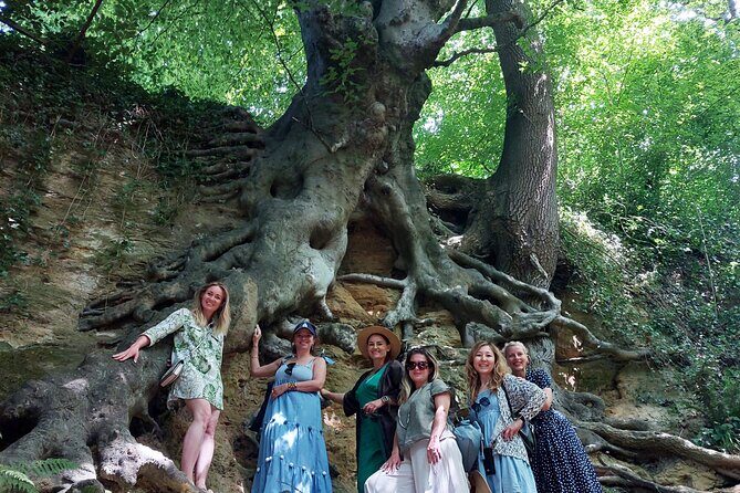 A Tour of Glastonbury, Guided by the Trees. - Why This Tour Stands Out