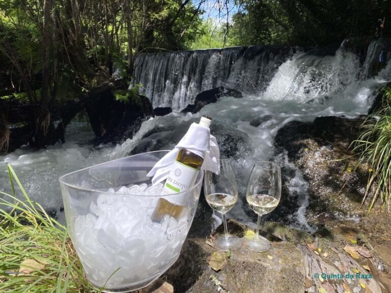 A trip through the Vinhos Verdes of the Basto Region - Authentic Stories from Visitors