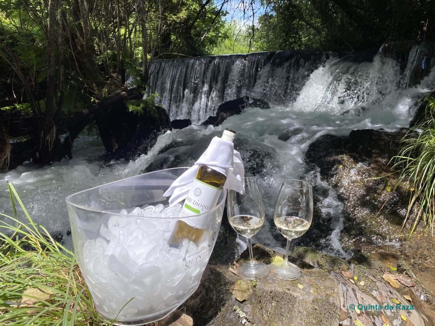 A trip through the Vinhos Verdes of the Basto Region - Authentic Stories from Visitors