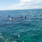 A Unique Private Snorkel Tour of Key Largo - Why This Tour Stands Out