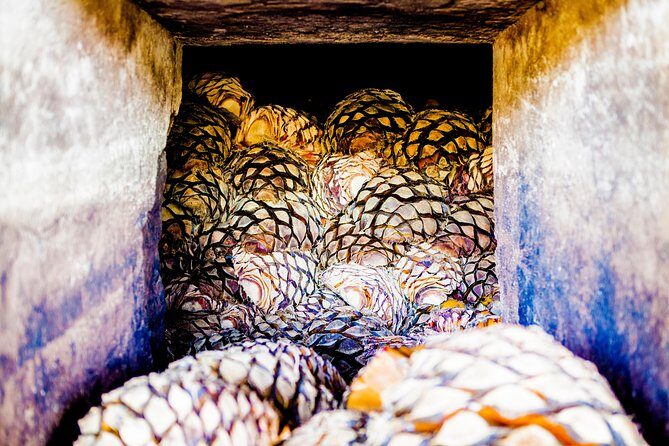 A unique tour! Visiting Hacienda Casa herradura From Guadalajara - Why This Tour Works Well