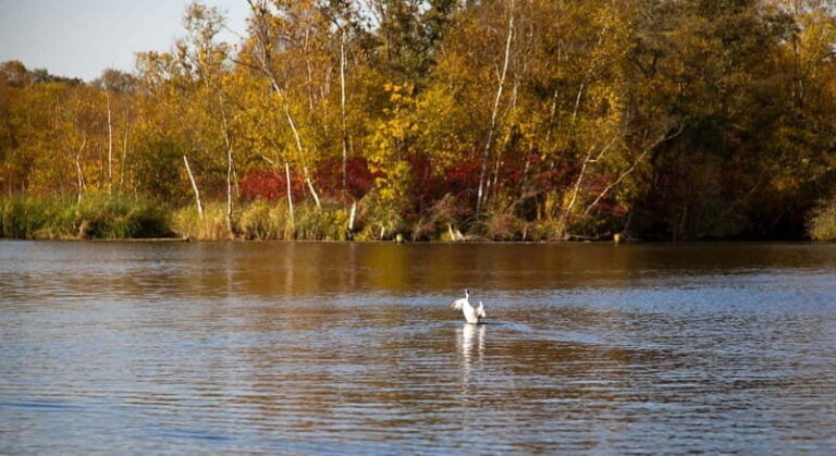 Aalsmeer: Traditional Dutch Barge Lake Cruise - Final Thoughts