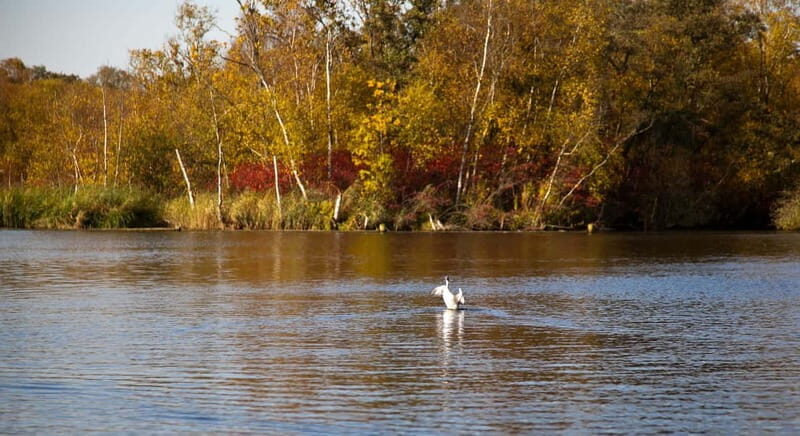 Aalsmeer: Traditional Dutch Barge Lake Cruise - Final Thoughts