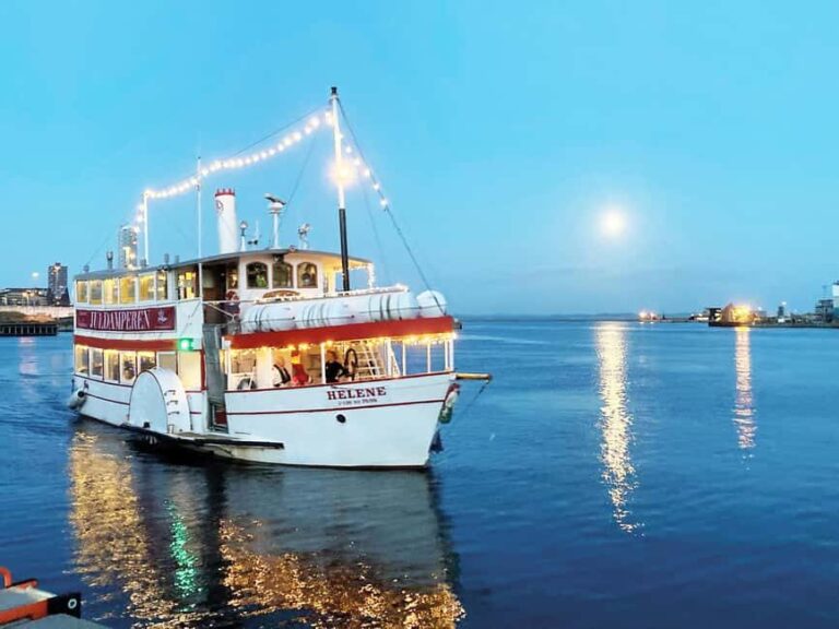 Aarhus: Christmas Harbor Cruise with Local Guide - The Experience in Detail