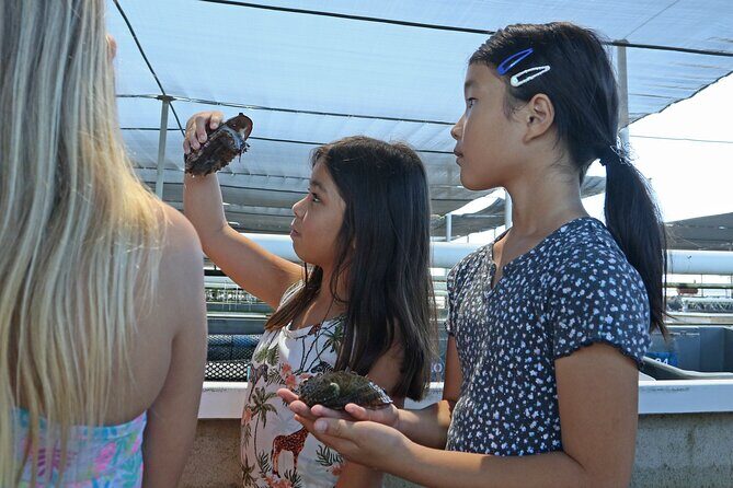 Abalone Farm Tour - The Route in Detail