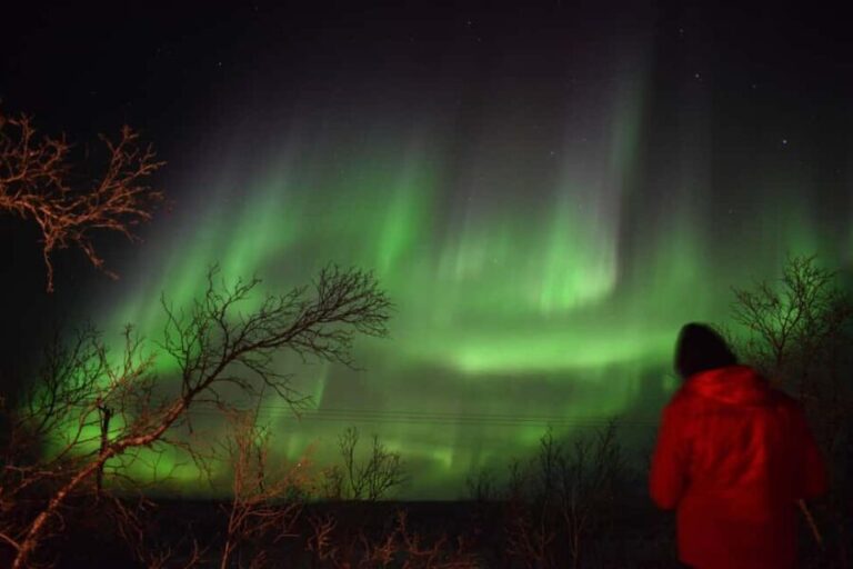 Abisko Arctic Ecology and Northern Lights Tour - The Sum Up