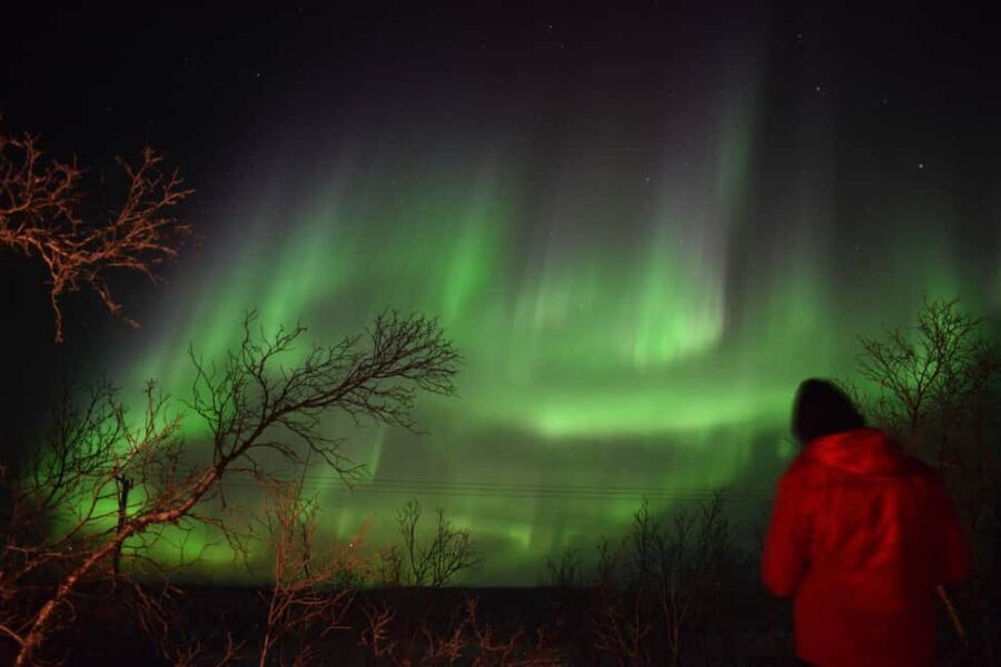 Abisko Arctic Ecology and Northern Lights Tour - The Sum Up