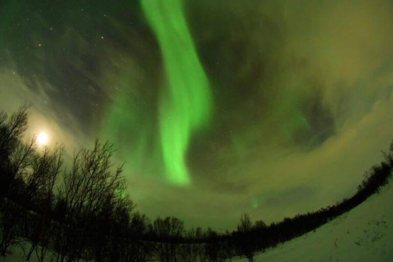 Abisko: Aurora Chasing with Snowmobiles - Authentic Experiences and Guest Insights
