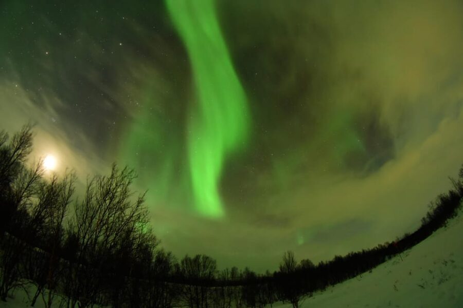 Abisko: Aurora Chasing with Snowmobiles - Authentic Experiences and Guest Insights