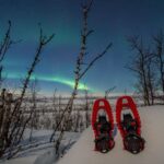 Abisko: Aurora Snowshoeing - Price and Value