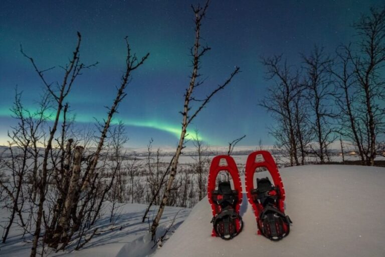 Abisko: Aurora Snowshoeing - Price and Value