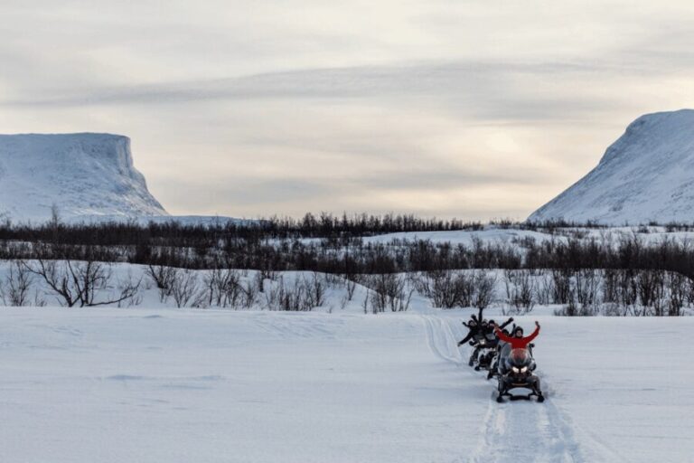 Abisko: Great Outback Snowmobile Tour with Lake Abiskojaure - Logistics & Practicalities