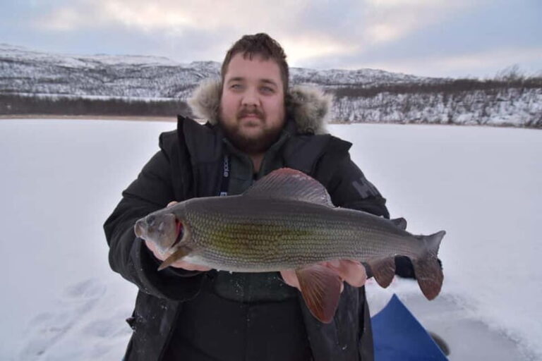 Abisko: Ice Fishing Experience - Price and Value