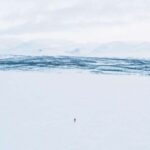 Abisko: Lake Torneträsk Arctic Ice Fishing Trip - What to Expect from the Ice Fishing Trip