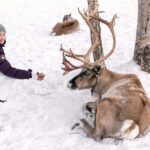 Abisko: Sámi Reindeer Experience with Snacks & Pickup - Who Is This Tour Best For?