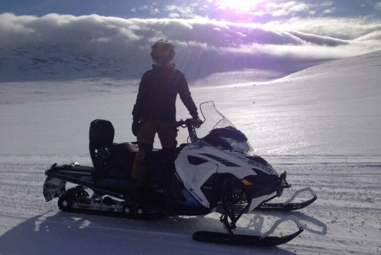 Abisko: Snowmobile Sled Expedition with Snack and Hot Drink - What You’ll Actually Do