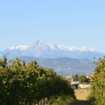 Abruzzo: Historic Cellar Wine Tour and Tasting - A Closer Look at the Experience