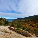 Acadia Full Day Small Group Tour - Pros and Cons in a Nutshell