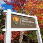 Acadia National Park & Bar Harbor Self-Guided Driving & Walking Tour - Bar Harbor: A Charming Coastal Town