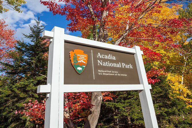 Acadia National Park & Bar Harbor Self-Guided Driving & Walking Tour - Bar Harbor: A Charming Coastal Town