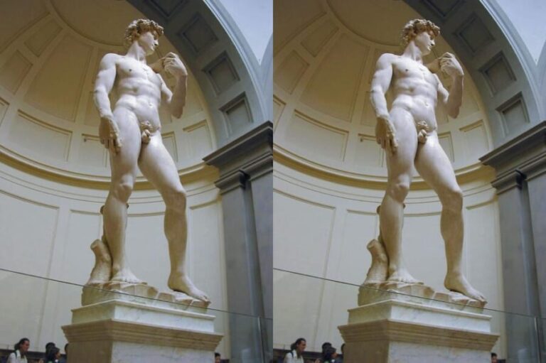 Accademia Gallery Priority Entry Ticket with e-Book - The Artworks and Collections