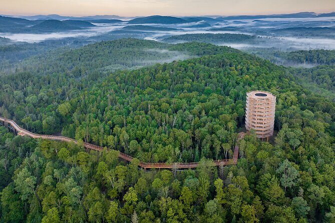 Access to Mont-Tremblant Treetop Observatory and Walk - The Experience in Detail