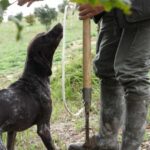 Acqualagna: Discovering the Truffle From the Forest to the Table - What to Expect on the Tour in Acqualagna