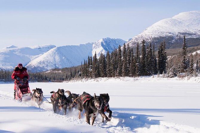 Active Winter Adventure in Yukon | 5 days - What Really Stands Out: The Value and Experience