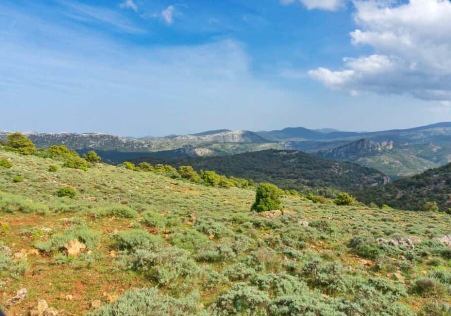 Adarre: Trek to the wild heart of the Supramonte - The Value of This Trek