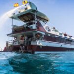 Adeje: Whale and Dolphin Watching Cruise with Lunch and Swim - The Experience: What to Expect