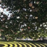 Admission Ticket to Casa São Roque Art Center - The Practicalities: What to Know Before You Go