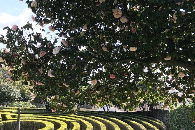 Admission Ticket to Casa São Roque Art Center - The Practicalities: What to Know Before You Go