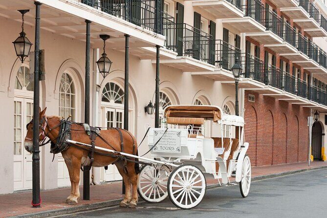 Adults-Only New Orleans Ghost, Crime, Voodoo, and Vampire Tour - Who Should Book This Tour?