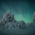 Adults Only Northern Lights Hunt with Snowshoeing - The Appeal of the Aurora and the Guide’s Role