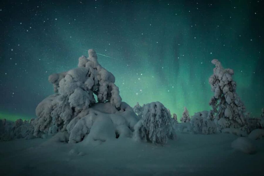 Adults Only Northern Lights Hunt with Snowshoeing - The Appeal of the Aurora and the Guide’s Role