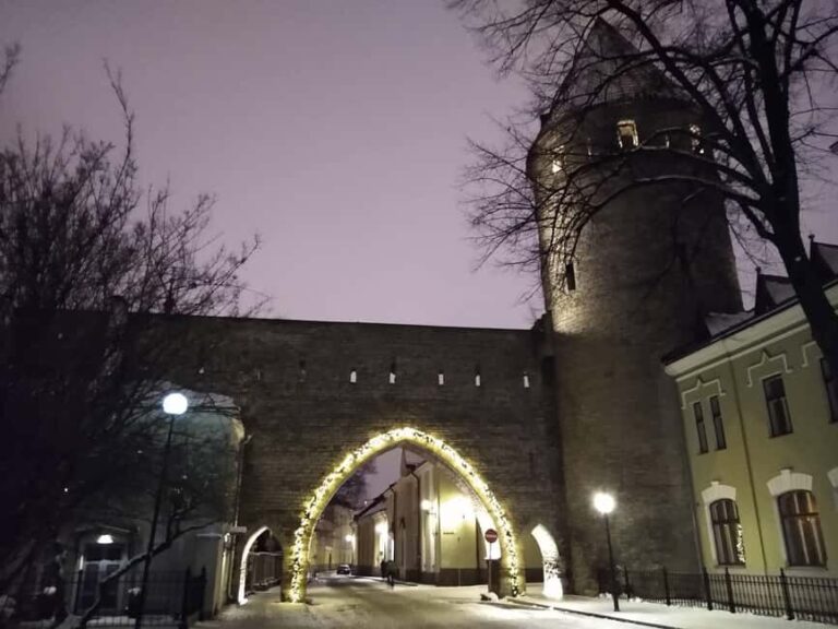 Advent Calendar of Tallinn - 24 stories from history - Who Is This Tour Best Suited For?