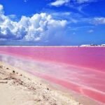 Adventour Day: Coloradas and Rio Lagartos Excursion from Cancun! - Authentic Experiences and Honest Feedback