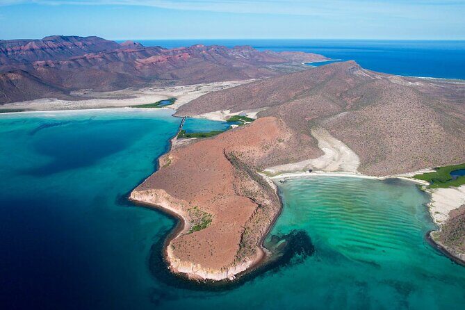 Adventure to Espiritu Santo Island: Snorkel with Sea Lions and Beach - Who Should Consider This Tour?