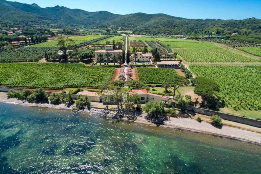 Adventurous Bike Tour to Tenuta la Chiusa with Tasting - The Value of the Experience