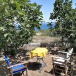 Aegina: Private Wine Tasting Experience - What Could Be Better?