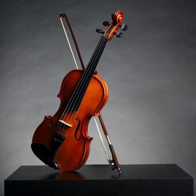 Afternoon Access to Accademia Gallery: David & Stradivarius - What’s Included and How It Works