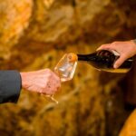 Afternoon Loire Valley Wine Tour from Tours or Amboise - The Downsides and Considerations