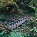 Afternoon Multnomah Falls and Gorge Waterfalls Tour - What Travelers Say