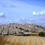 Agrigento Valley of the Temples and Villa Romana del Casale Tour from Palermo - What Travelers Say: The Real-World Perspective