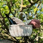 Agrigento: Valley of the Temples Gardens Picnic Experience - Key Points